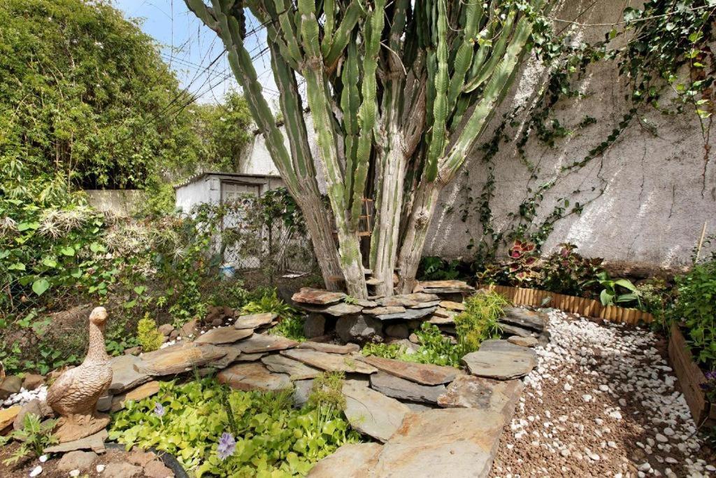 Вілла Casa Con Jardin Такоронте Екстер'єр фото
